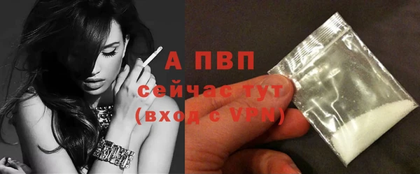 трава Гусь-Хрустальный