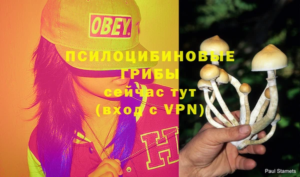 мефедрон Гусиноозёрск