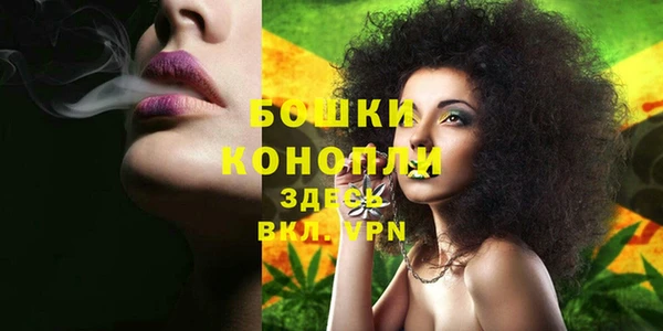 трава Гусь-Хрустальный