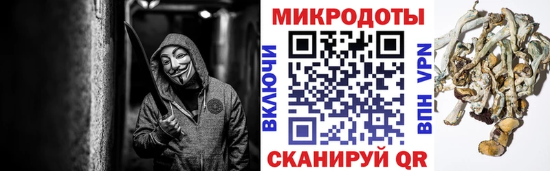 Галлюциногенные грибы мухоморы  хочу наркоту  Сланцы 