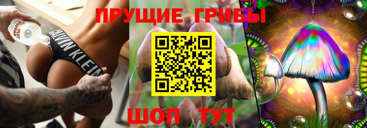 Сланцы  Псилоцибиновые грибы GOLDEN TEACHER  Галлюциногенные грибы Psilocybe  Вход с VPN 